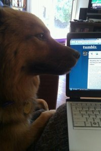 27252_502462020907_4126342_n